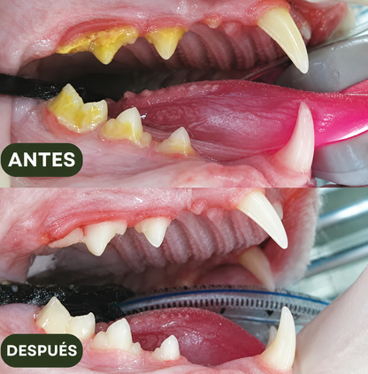 Pack Palitos Naturales