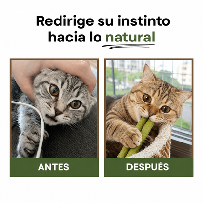 Pack Palitos Naturales